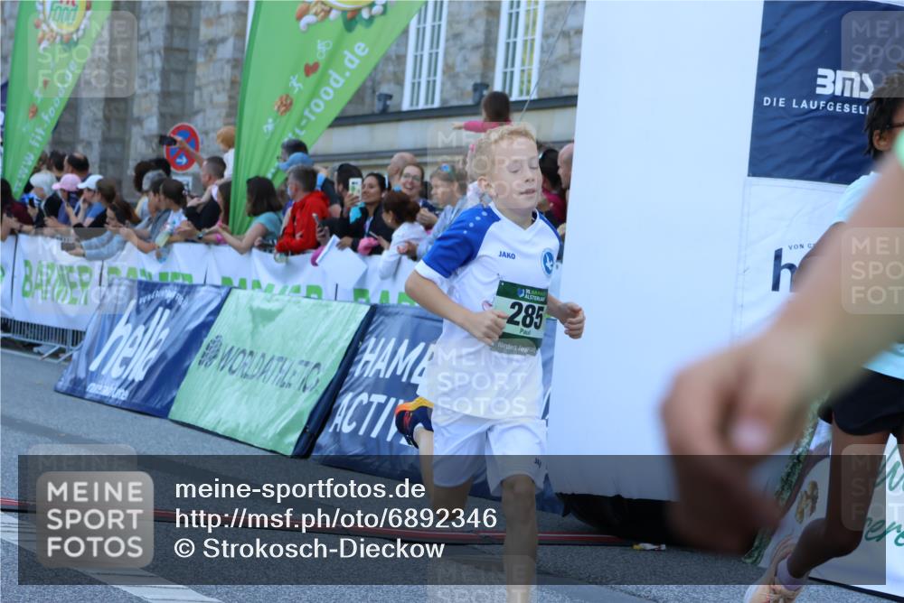 01.09.2024 - BARMER Alsterlauf Strokosch-Dieckow http://msf.ph/oto/6892346 01.09.2024 10:51:37 Ziel 166, 226, 227, 247, 285, 291, 349, 358, 366, 8181, 8362 meine-sportfotos.de