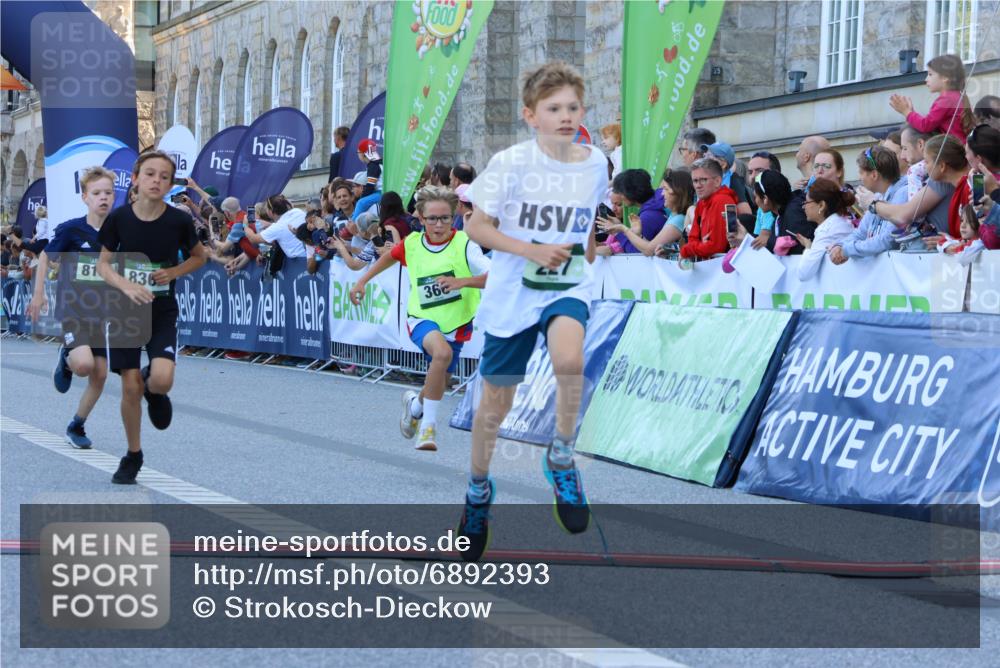 01.09.2024 - BARMER Alsterlauf Strokosch-Dieckow http://msf.ph/oto/6892393 01.09.2024 10:51:43 Ziel 169, 204, 205, 207, 226, 227, 263, 291, 349, 366, 8181, 8362 meine-sportfotos.de