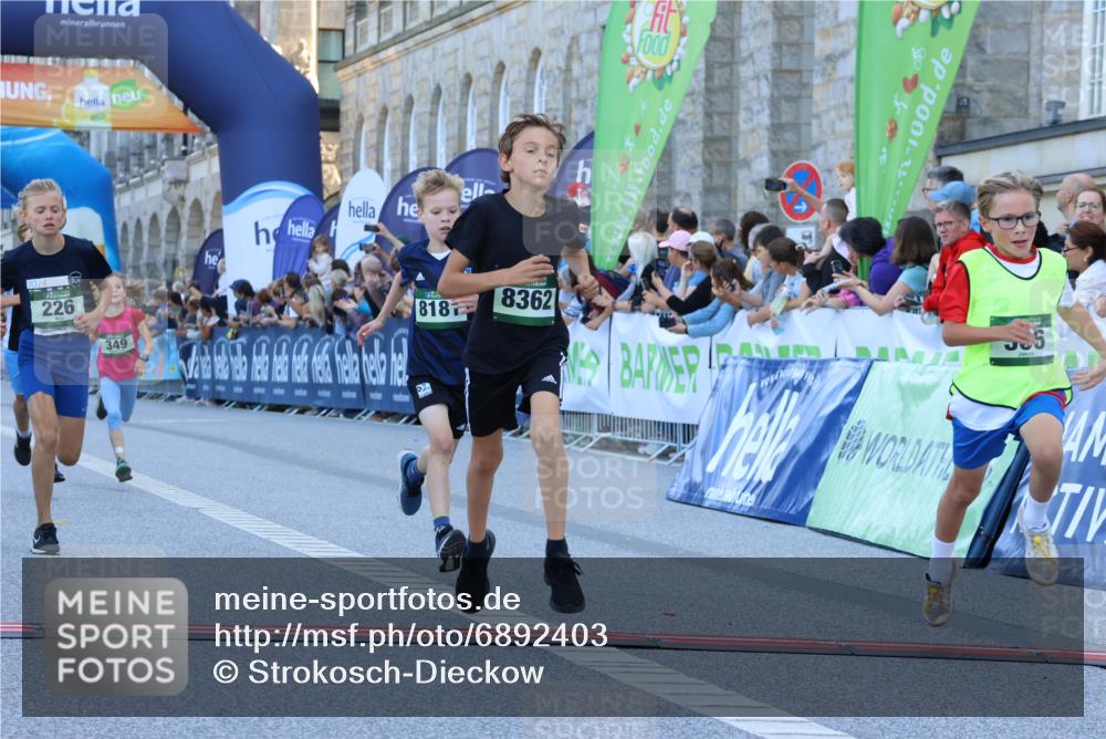 01.09.2024 - BARMER Alsterlauf Strokosch-Dieckow http://msf.ph/oto/6892403 01.09.2024 10:51:44 Ziel 151, 169, 204, 205, 207, 226, 227, 263, 291, 349, 366, 399, 8181, 8362 meine-sportfotos.de
