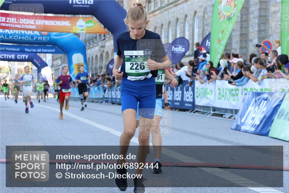 01.09.2024 - BARMER Alsterlauf Strokosch-Dieckow http://msf.ph/oto/6892444 01.09.2024 10:51:46 Ziel 151, 169, 204, 205, 207, 226, 233, 263, 291, 349, 359, 366, 399, 8181, 8362 meine-sportfotos.de