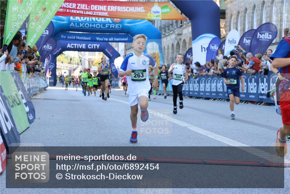 01.09.2024 - BARMER Alsterlauf Strokosch-Dieckow http://msf.ph/oto/6892454 01.09.2024 10:51:49 Ziel 151, 169, 177, 201, 204, 205, 207, 233, 258, 263, 266, 359, 399, 8157, 8367 meine-sportfotos.de