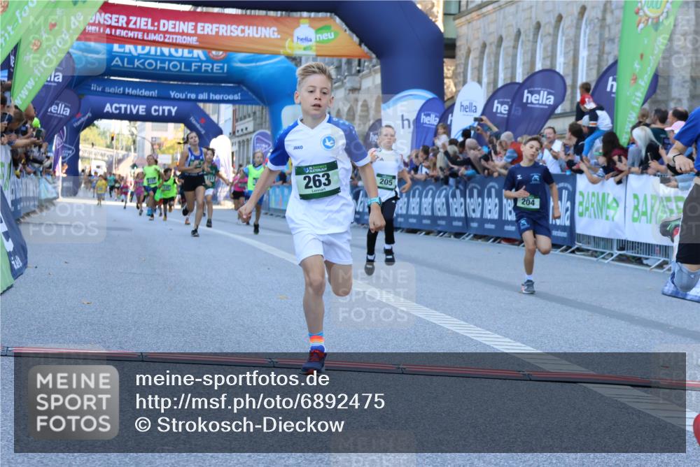 01.09.2024 - BARMER Alsterlauf Strokosch-Dieckow http://msf.ph/oto/6892475 01.09.2024 10:51:50 Ziel 151, 169, 177, 201, 204, 205, 207, 233, 258, 263, 266, 359, 399, 8157, 8367 meine-sportfotos.de