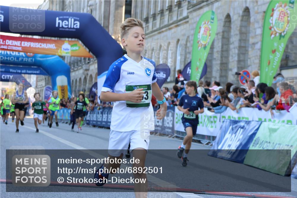01.09.2024 - BARMER Alsterlauf Strokosch-Dieckow http://msf.ph/oto/6892501 01.09.2024 10:51:51 Ziel 151, 169, 177, 201, 204, 205, 207, 233, 258, 263, 266, 310, 345, 359, 399, 8157, 8367 meine-sportfotos.de