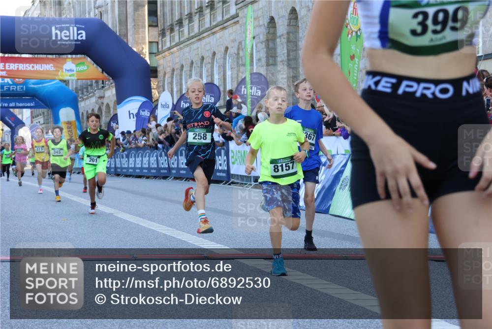 01.09.2024 - BARMER Alsterlauf Strokosch-Dieckow http://msf.ph/oto/6892530 01.09.2024 10:51:58 Ziel 177, 178, 194, 201, 225, 233, 258, 262, 266, 310, 336, 339, 345, 359, 373, 377, 8157, 8158, 8254, 8304, 8367 meine-sportfotos.de