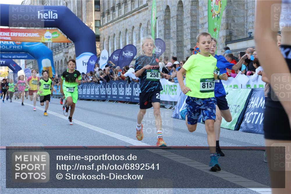 01.09.2024 - BARMER Alsterlauf Strokosch-Dieckow http://msf.ph/oto/6892541 01.09.2024 10:51:59 Ziel 177, 178, 194, 201, 202, 225, 258, 262, 266, 310, 336, 339, 345, 373, 377, 8157, 8158, 8254, 8304, 8367 meine-sportfotos.de