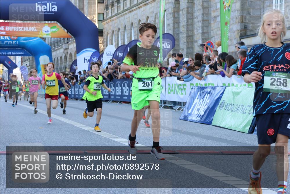 01.09.2024 - BARMER Alsterlauf Strokosch-Dieckow http://msf.ph/oto/6892578 01.09.2024 10:52:01 Ziel 177, 178, 179, 183, 194, 201, 202, 225, 258, 262, 266, 272, 274, 290, 310, 320, 336, 339, 345, 373, 377, 8056, 8158, 8254, 8304, 8367 meine-sportfotos.de