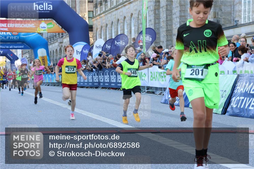 01.09.2024 - BARMER Alsterlauf Strokosch-Dieckow http://msf.ph/oto/6892586 01.09.2024 10:52:02 Ziel 178, 179, 183, 194, 201, 202, 225, 262, 272, 274, 290, 310, 320, 336, 339, 345, 373, 377, 384, 8056, 8158, 8254, 8304, 8340 meine-sportfotos.de