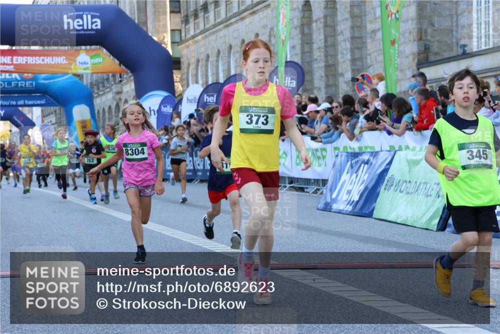 01.09.2024 - BARMER Alsterlauf Strokosch-Dieckow http://msf.ph/oto/6892623 01.09.2024 10:52:03 Ziel 178, 179, 183, 194, 202, 225, 262, 272, 274, 290, 310, 320, 336, 339, 345, 373, 377, 384, 8056, 8158, 8254, 8299, 8304, 8340 meine-sportfotos.de