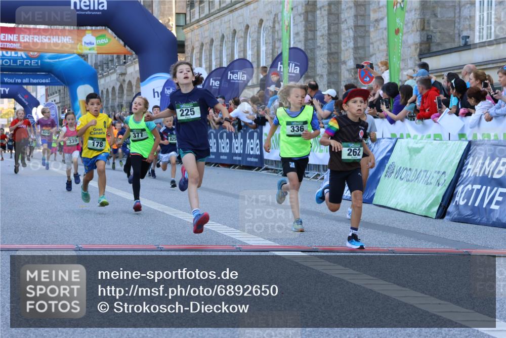 01.09.2024 - BARMER Alsterlauf Strokosch-Dieckow http://msf.ph/oto/6892650 01.09.2024 10:52:06 Ziel 178, 179, 183, 194, 202, 225, 262, 272, 273, 274, 290, 296, 320, 323, 328, 336, 339, 377, 384, 8056, 8158, 8238, 8254, 8299, 8304, 8340 meine-sportfotos.de
