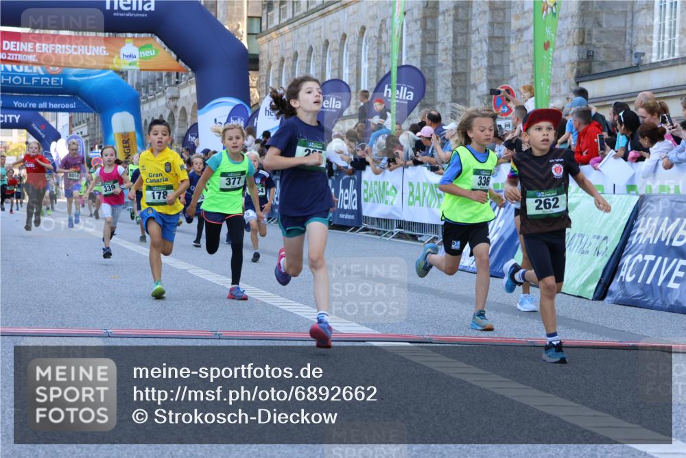 01.09.2024 - BARMER Alsterlauf Strokosch-Dieckow http://msf.ph/oto/6892662 01.09.2024 10:52:07 Ziel 178, 179, 183, 194, 202, 225, 243, 262, 271, 272, 273, 274, 281, 290, 296, 320, 323, 328, 336, 339, 377, 384, 8056, 8238, 8254, 8299, 8328, 8340 meine-sportfotos.de