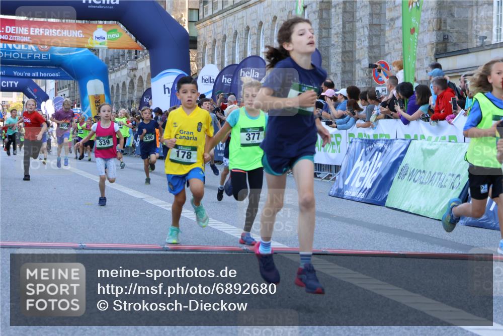 01.09.2024 - BARMER Alsterlauf Strokosch-Dieckow http://msf.ph/oto/6892680 01.09.2024 10:52:07 Ziel 178, 179, 183, 194, 202, 225, 243, 262, 271, 272, 273, 274, 281, 290, 296, 320, 323, 328, 336, 339, 377, 384, 8056, 8238, 8254, 8299, 8328, 8340 meine-sportfotos.de