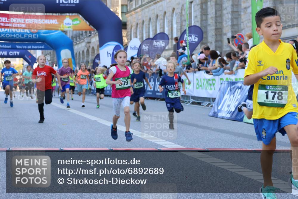 01.09.2024 - BARMER Alsterlauf Strokosch-Dieckow http://msf.ph/oto/6892689 01.09.2024 10:52:09 Ziel 178, 179, 183, 191, 194, 202, 225, 243, 271, 272, 273, 274, 281, 290, 296, 320, 323, 328, 336, 339, 356, 377, 384, 8056, 8238, 8254, 8299, 8328, 8340 meine-sportfotos.de