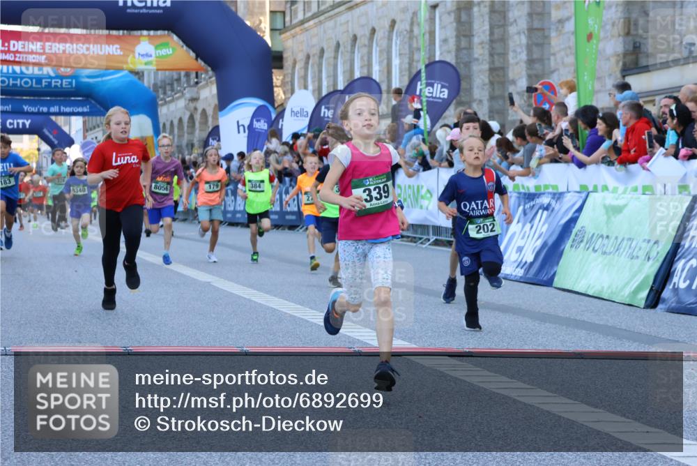 01.09.2024 - BARMER Alsterlauf Strokosch-Dieckow http://msf.ph/oto/6892699 01.09.2024 10:52:09 Ziel 178, 179, 183, 191, 194, 202, 225, 243, 271, 272, 273, 274, 281, 290, 296, 320, 323, 328, 336, 339, 356, 377, 384, 8056, 8238, 8254, 8299, 8328, 8340 meine-sportfotos.de