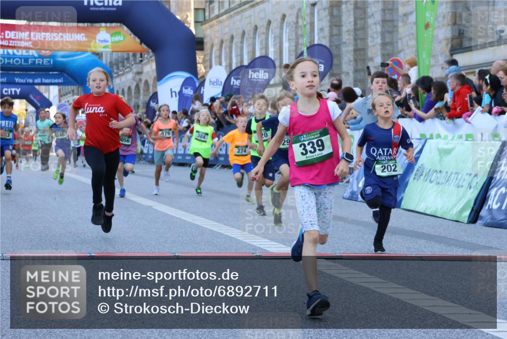 01.09.2024 - BARMER Alsterlauf Strokosch-Dieckow http://msf.ph/oto/6892711 01.09.2024 10:52:10 Ziel 178, 179, 183, 191, 194, 202, 243, 271, 272, 273, 274, 281, 290, 296, 320, 323, 328, 339, 356, 377, 384, 8056, 8238, 8254, 8299, 8328, 8340 meine-sportfotos.de