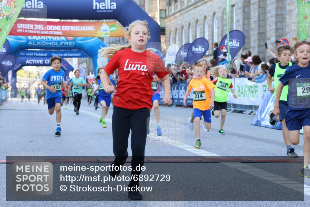 01.09.2024 - BARMER Alsterlauf Strokosch-Dieckow http://msf.ph/oto/6892729 01.09.2024 10:52:11 Ziel 179, 183, 191, 202, 243, 271, 272, 273, 274, 281, 290, 296, 320, 323, 328, 339, 351, 356, 384, 389, 8056, 8238, 8254, 8299, 8328, 8340 meine-sportfotos.de