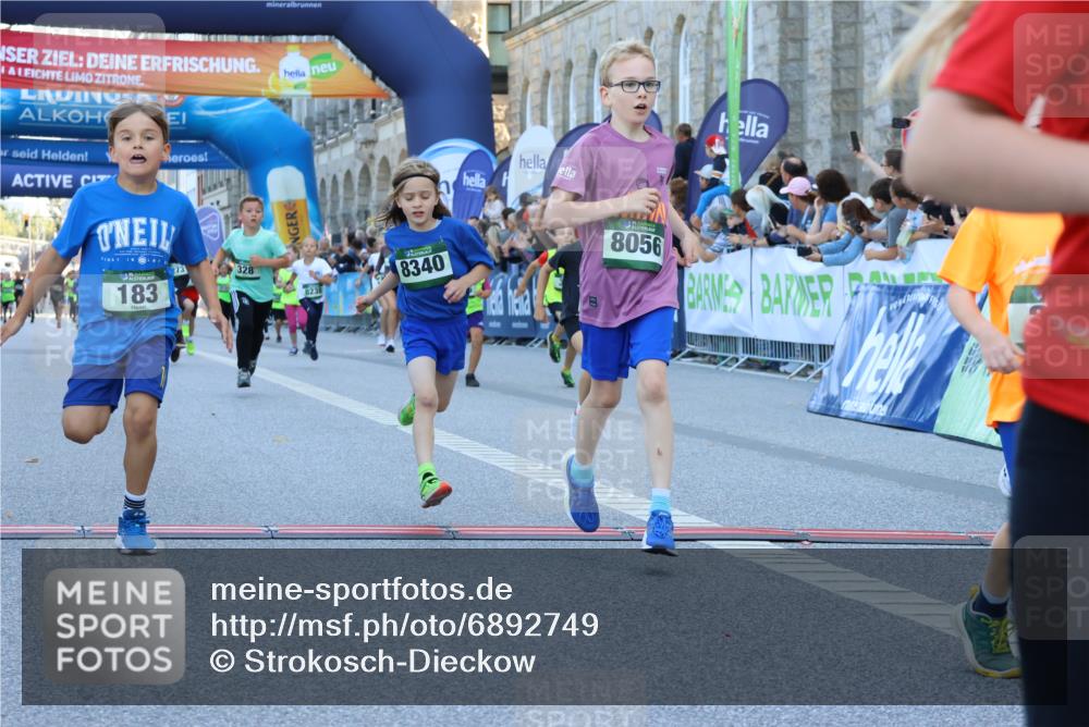 01.09.2024 - BARMER Alsterlauf Strokosch-Dieckow http://msf.ph/oto/6892749 01.09.2024 10:52:12 Ziel 179, 183, 191, 202, 243, 271, 272, 273, 274, 281, 290, 296, 320, 323, 328, 351, 356, 384, 389, 8056, 8238, 8299, 8328, 8340 meine-sportfotos.de