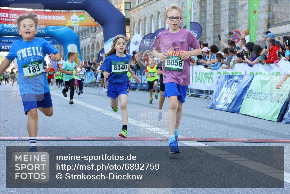 01.09.2024 - BARMER Alsterlauf Strokosch-Dieckow http://msf.ph/oto/6892759 01.09.2024 10:52:13 Ziel 179, 183, 191, 224, 243, 271, 272, 273, 274, 281, 290, 296, 320, 323, 328, 351, 356, 384, 389, 393, 8056, 8238, 8299, 8328, 8340 meine-sportfotos.de