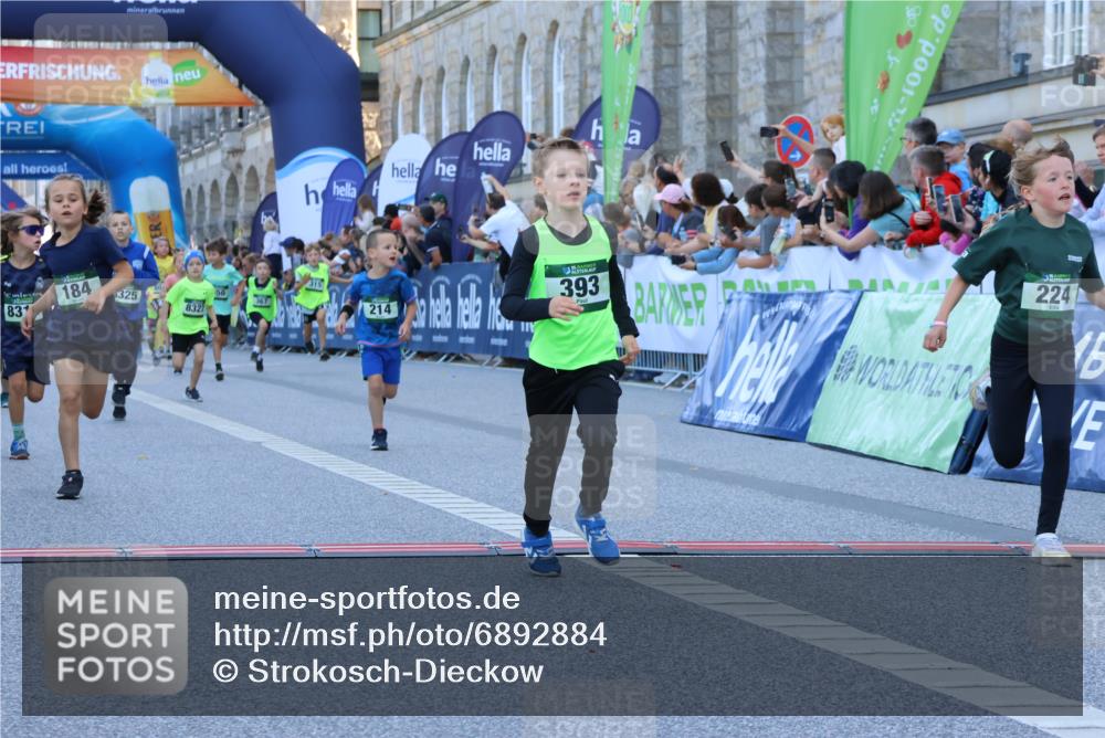 01.09.2024 - BARMER Alsterlauf Strokosch-Dieckow http://msf.ph/oto/6892884 01.09.2024 10:52:24 Ziel 156, 184, 196, 203, 214, 216, 221, 224, 242, 252, 269, 270, 278, 279, 315, 321, 327, 350, 351, 361, 367, 375, 382, 388, 389, 393, 8049, 8051, 8315, 8325, 8326, 8327 meine-sportfotos.de