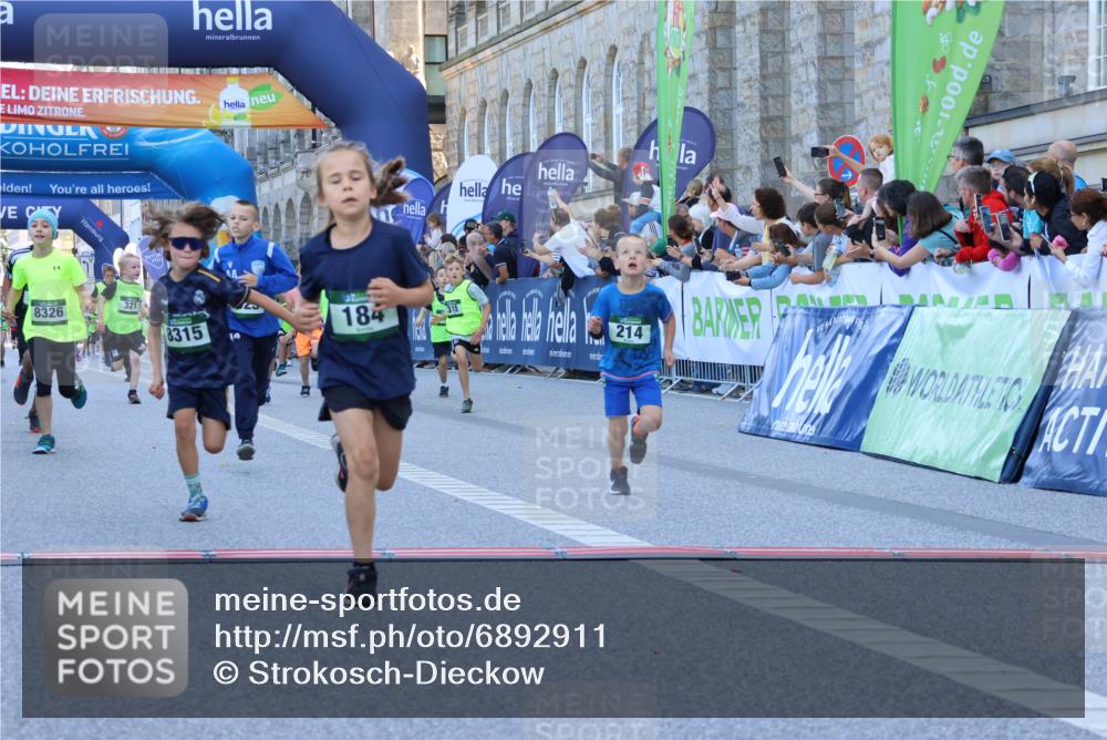 01.09.2024 - BARMER Alsterlauf Strokosch-Dieckow http://msf.ph/oto/6892911 01.09.2024 10:52:25 Ziel 156, 184, 186, 196, 203, 214, 216, 221, 224, 242, 246, 252, 269, 270, 278, 279, 293, 315, 321, 327, 350, 354, 361, 367, 375, 376, 382, 388, 393, 8049, 8051, 8315, 8325, 8326, 8327 meine-sportfotos.de