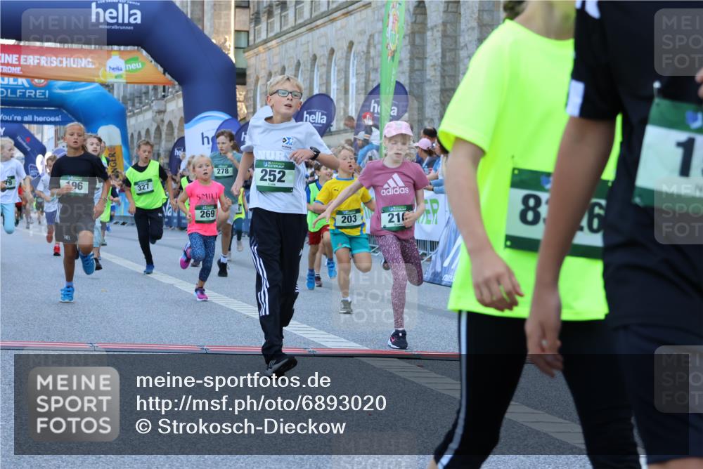 01.09.2024 - BARMER Alsterlauf Strokosch-Dieckow http://msf.ph/oto/6893020 01.09.2024 10:52:32 Ziel 152, 167, 168, 186, 196, 203, 216, 221, 230, 231, 242, 246, 249, 252, 269, 270, 276, 278, 279, 293, 301, 327, 341, 350, 354, 361, 367, 375, 376, 388, 8051, 8308, 8314 meine-sportfotos.de
