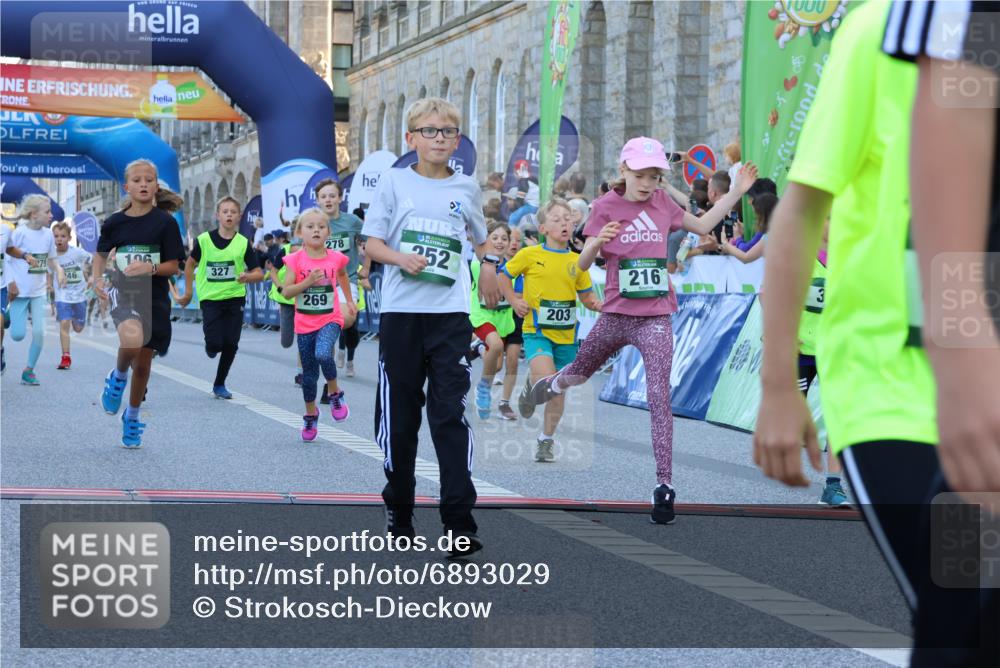 01.09.2024 - BARMER Alsterlauf Strokosch-Dieckow http://msf.ph/oto/6893029 01.09.2024 10:52:32 Ziel 152, 167, 168, 186, 196, 203, 216, 221, 230, 231, 242, 246, 249, 252, 269, 270, 276, 278, 279, 293, 301, 327, 341, 350, 354, 361, 367, 375, 376, 388, 8051, 8308, 8314 meine-sportfotos.de