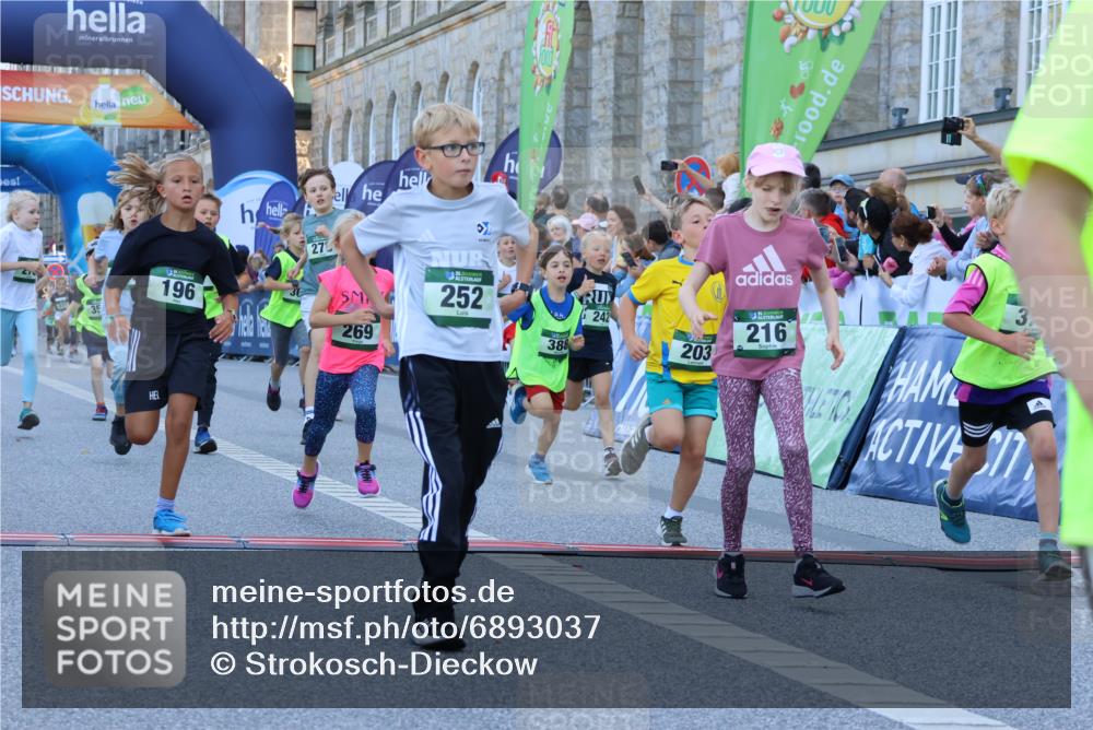 01.09.2024 - BARMER Alsterlauf Strokosch-Dieckow http://msf.ph/oto/6893037 01.09.2024 10:52:33 Ziel 152, 167, 168, 186, 196, 203, 216, 221, 230, 231, 242, 246, 249, 252, 269, 270, 276, 278, 279, 293, 301, 327, 341, 354, 355, 361, 375, 376, 388, 8051, 8308, 8314 meine-sportfotos.de