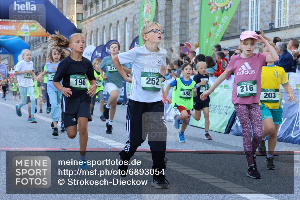 01.09.2024 - BARMER Alsterlauf Strokosch-Dieckow http://msf.ph/oto/6893054 01.09.2024 10:52:33 Ziel 152, 167, 168, 186, 196, 203, 216, 221, 230, 231, 242, 246, 249, 252, 269, 270, 276, 278, 279, 293, 301, 327, 341, 354, 355, 361, 375, 376, 388, 8051, 8308, 8314 meine-sportfotos.de