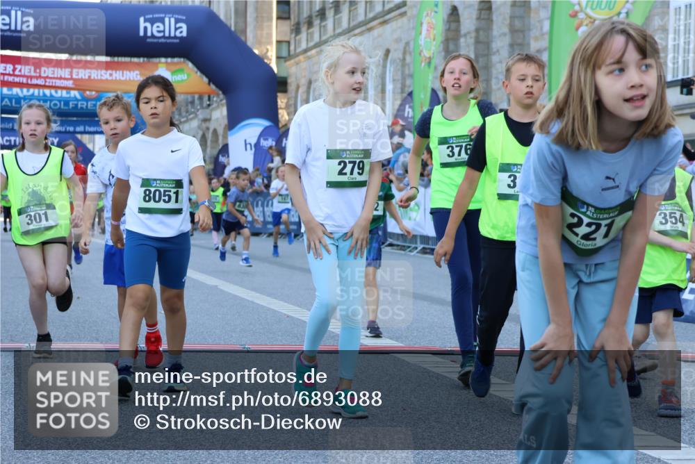 01.09.2024 - BARMER Alsterlauf Strokosch-Dieckow http://msf.ph/oto/6893088 01.09.2024 10:52:37 Ziel 152, 157, 167, 168, 176, 186, 230, 231, 242, 246, 249, 276, 278, 279, 293, 301, 305, 324, 327, 341, 342, 354, 355, 361, 376, 394, 8025, 8051, 8070, 8308, 8314, 8330 meine-sportfotos.de