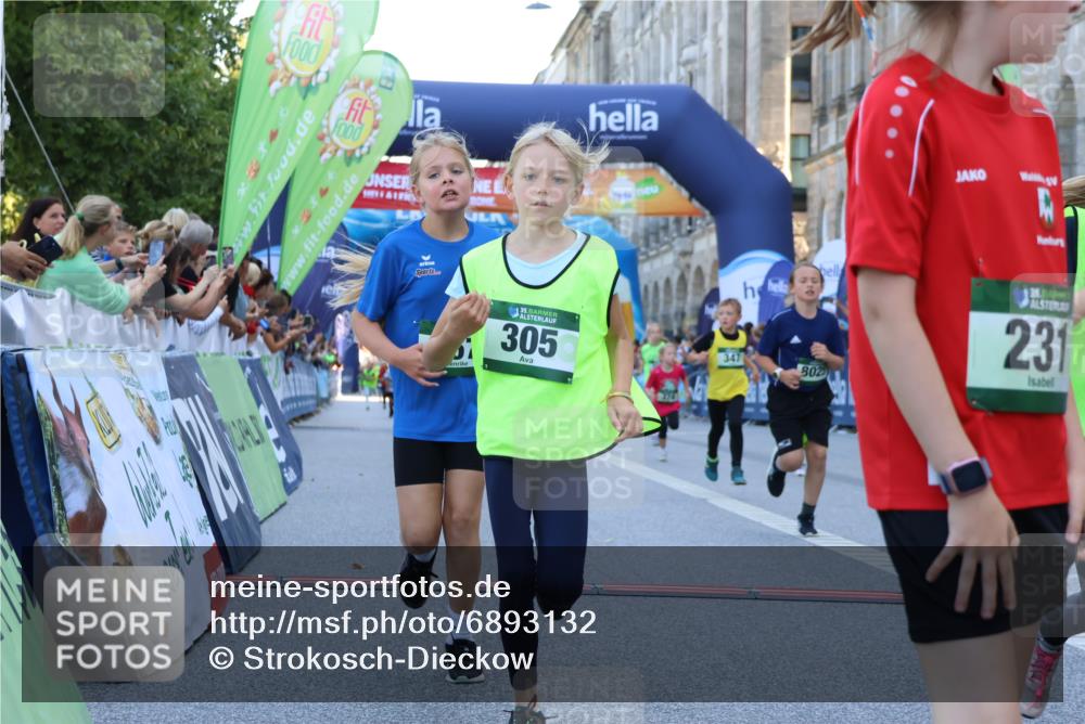 01.09.2024 - BARMER Alsterlauf Strokosch-Dieckow http://msf.ph/oto/6893132 01.09.2024 10:52:47 Ziel 157, 176, 213, 265, 289, 300, 305, 312, 324, 340, 342, 344, 347, 374, 394, 8025, 8070, 8216, 8330, 8377 meine-sportfotos.de
