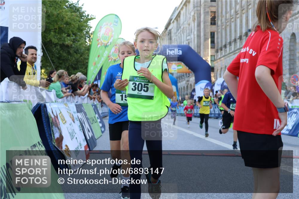 01.09.2024 - BARMER Alsterlauf Strokosch-Dieckow http://msf.ph/oto/6893147 01.09.2024 10:52:47 Ziel 157, 176, 213, 265, 289, 300, 305, 312, 324, 340, 342, 344, 347, 374, 394, 8025, 8070, 8216, 8330, 8377 meine-sportfotos.de