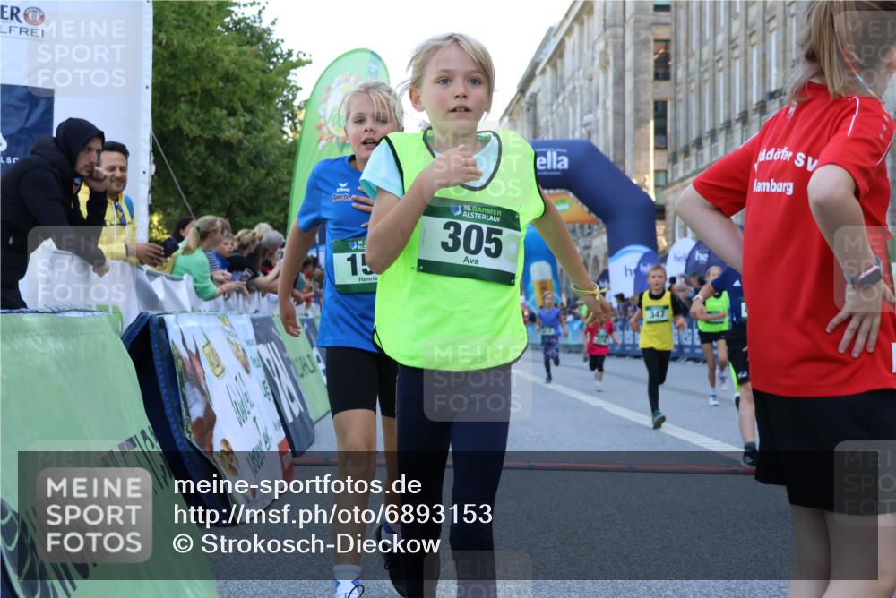 01.09.2024 - BARMER Alsterlauf Strokosch-Dieckow http://msf.ph/oto/6893153 01.09.2024 10:52:48 Ziel 157, 176, 213, 265, 275, 289, 300, 305, 312, 313, 319, 322, 324, 340, 342, 344, 347, 374, 394, 8025, 8216, 8377 meine-sportfotos.de