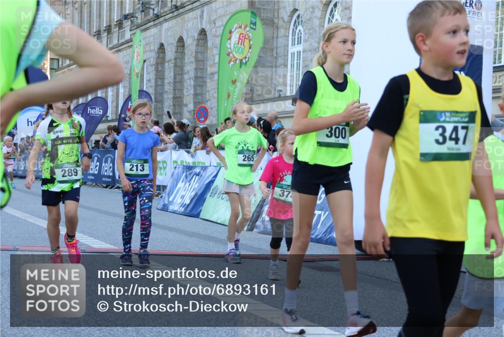 01.09.2024 - BARMER Alsterlauf Strokosch-Dieckow http://msf.ph/oto/6893161 01.09.2024 10:52:54 Ziel 181, 213, 236, 237, 253, 264, 265, 275, 289, 313, 319, 322, 331, 334, 340, 348, 374, 378, 379, 8072, 8175, 8216, 8377 meine-sportfotos.de