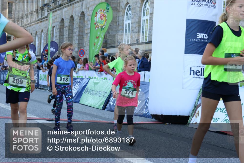 01.09.2024 - BARMER Alsterlauf Strokosch-Dieckow http://msf.ph/oto/6893187 01.09.2024 10:52:55 Ziel 181, 213, 236, 237, 253, 260, 264, 265, 275, 289, 313, 319, 322, 331, 334, 340, 348, 378, 379, 8072, 8175, 8216, 8377 meine-sportfotos.de