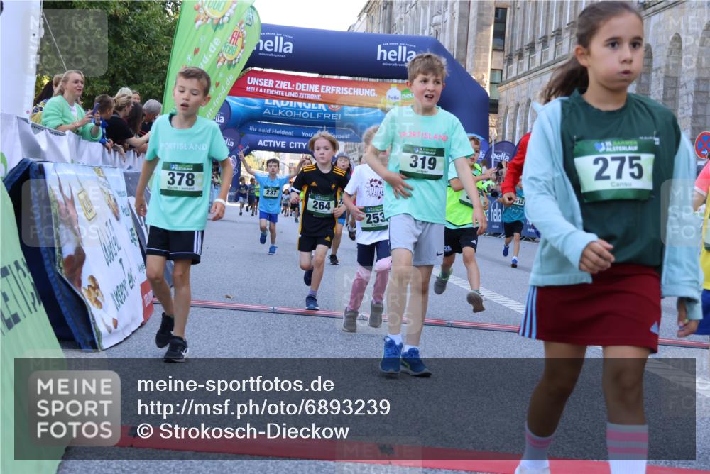 01.09.2024 - BARMER Alsterlauf Strokosch-Dieckow http://msf.ph/oto/6893239 01.09.2024 10:53:02 Ziel 180, 181, 185, 223, 236, 237, 240, 241, 251, 253, 260, 264, 316, 331, 334, 348, 352, 370, 378, 379, 3427, 8072, 8112, 8175 meine-sportfotos.de