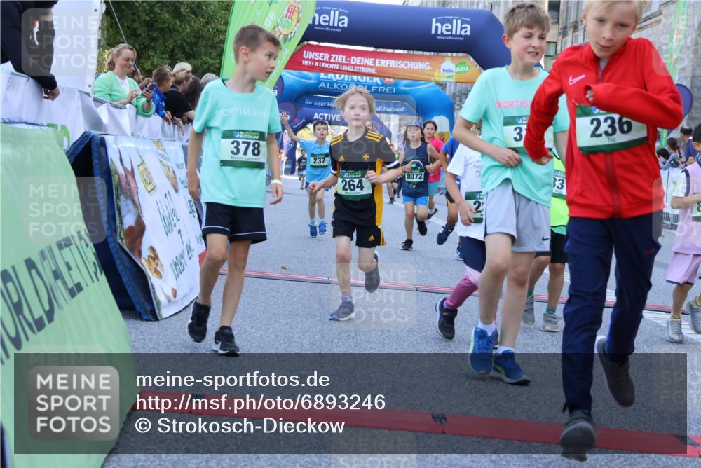 01.09.2024 - BARMER Alsterlauf Strokosch-Dieckow http://msf.ph/oto/6893246 01.09.2024 10:53:03 Ziel 180, 181, 185, 223, 229, 236, 237, 240, 241, 251, 253, 260, 264, 316, 331, 333, 348, 352, 370, 379, 3427, 8072, 8112, 8175 meine-sportfotos.de