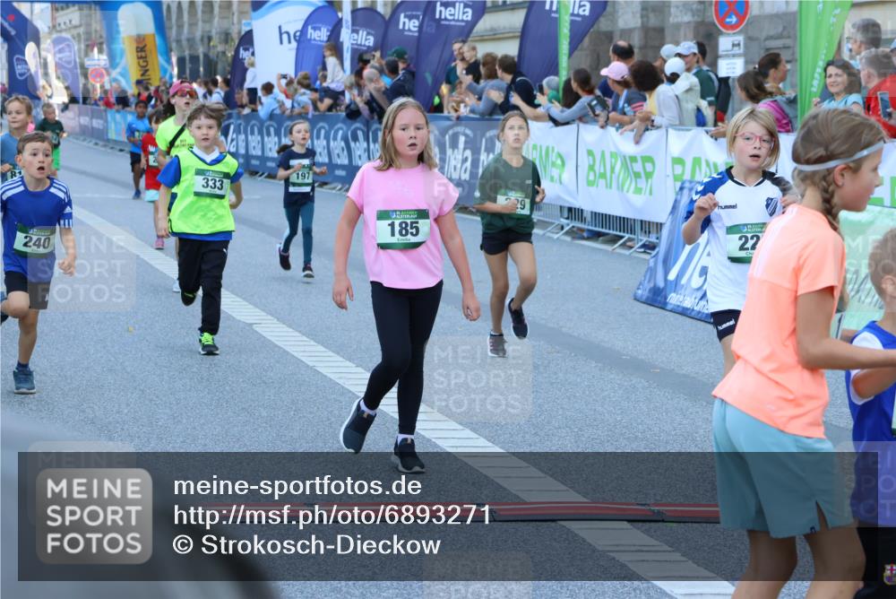 01.09.2024 - BARMER Alsterlauf Strokosch-Dieckow http://msf.ph/oto/6893271 01.09.2024 10:53:12 Ziel 163, 180, 182, 185, 197, 217, 223, 229, 240, 244, 248, 251, 255, 284, 287, 294, 326, 333, 390, 3427, 8087, 8173, 8388 meine-sportfotos.de