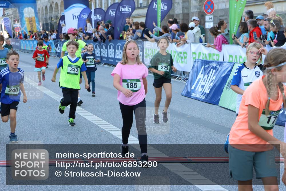 01.09.2024 - BARMER Alsterlauf Strokosch-Dieckow http://msf.ph/oto/6893290 01.09.2024 10:53:13 Ziel 163, 182, 185, 197, 217, 223, 229, 240, 244, 248, 251, 255, 284, 287, 294, 326, 333, 390, 3427, 8087, 8173, 8388 meine-sportfotos.de