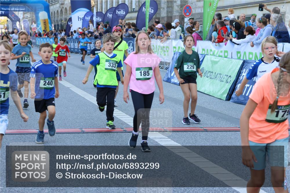 01.09.2024 - BARMER Alsterlauf Strokosch-Dieckow http://msf.ph/oto/6893299 01.09.2024 10:53:14 Ziel 163, 182, 185, 197, 217, 223, 229, 240, 244, 248, 251, 255, 284, 287, 294, 326, 333, 390, 3427, 8087, 8173, 8388 meine-sportfotos.de