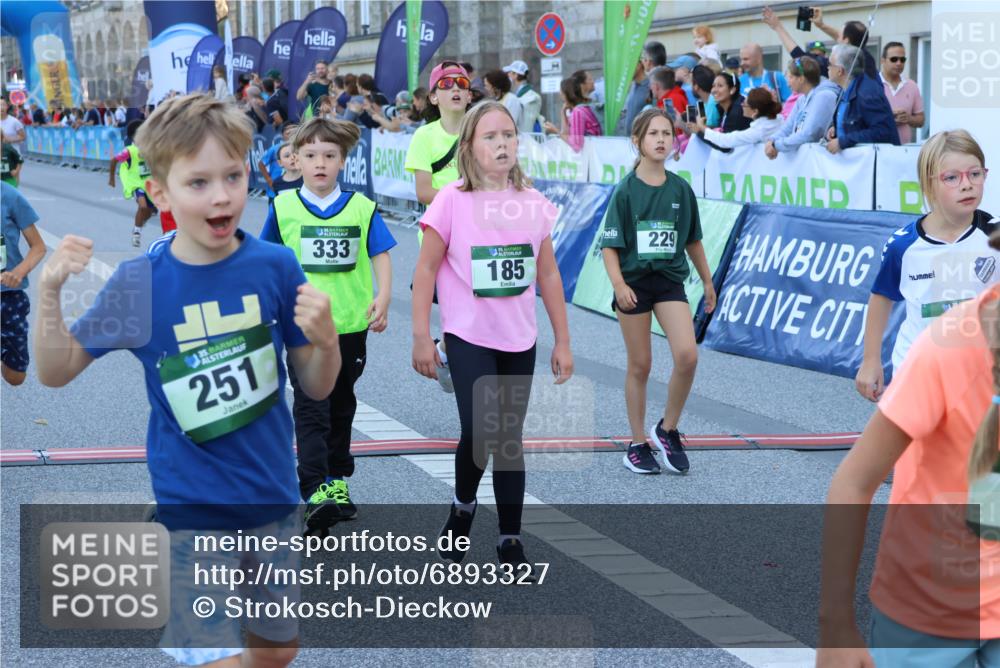 01.09.2024 - BARMER Alsterlauf Strokosch-Dieckow http://msf.ph/oto/6893327 01.09.2024 10:53:15 Ziel 163, 182, 185, 197, 217, 229, 240, 244, 248, 251, 254, 255, 284, 287, 294, 326, 333, 390, 8087, 8173, 8388 meine-sportfotos.de