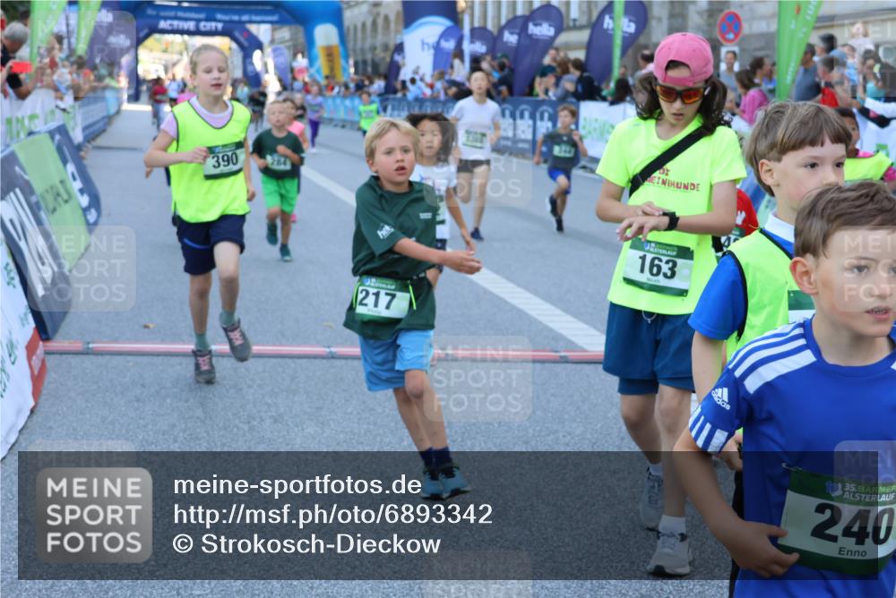 01.09.2024 - BARMER Alsterlauf Strokosch-Dieckow http://msf.ph/oto/6893342 01.09.2024 10:53:18 Ziel 182, 197, 217, 244, 248, 254, 255, 261, 284, 287, 294, 295, 326, 381, 390, 8087, 8251, 8388 meine-sportfotos.de