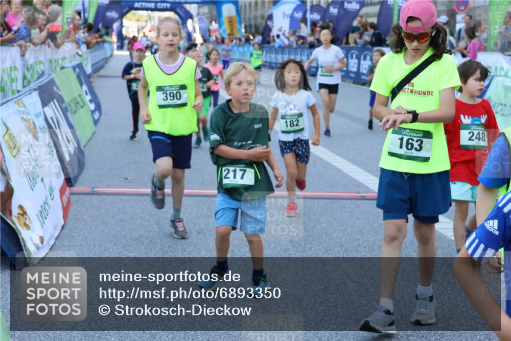 01.09.2024 - BARMER Alsterlauf Strokosch-Dieckow http://msf.ph/oto/6893350 01.09.2024 10:53:19 Ziel 182, 197, 217, 244, 248, 254, 255, 261, 267, 284, 287, 294, 295, 326, 381, 390, 8087, 8251, 8388 meine-sportfotos.de
