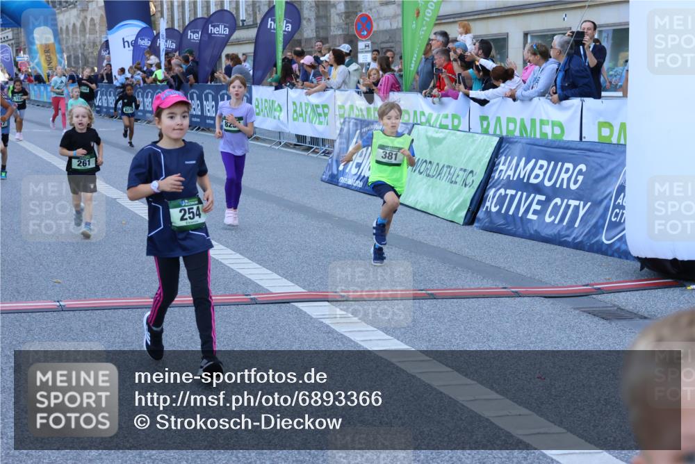 01.09.2024 - BARMER Alsterlauf Strokosch-Dieckow http://msf.ph/oto/6893366 01.09.2024 10:53:26 Ziel 174, 189, 192, 218, 232, 254, 261, 267, 295, 306, 338, 353, 365, 381, 8251, 8270, 8366 meine-sportfotos.de