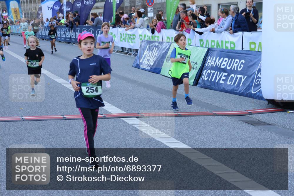 01.09.2024 - BARMER Alsterlauf Strokosch-Dieckow http://msf.ph/oto/6893377 01.09.2024 10:53:27 Ziel 174, 189, 192, 218, 232, 254, 261, 267, 295, 306, 338, 353, 365, 381, 8251, 8270, 8366 meine-sportfotos.de