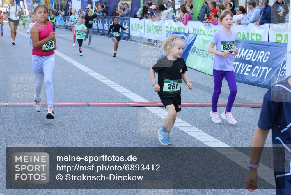 01.09.2024 - BARMER Alsterlauf Strokosch-Dieckow http://msf.ph/oto/6893412 01.09.2024 10:53:29 Ziel 174, 189, 192, 218, 232, 261, 267, 295, 297, 306, 338, 353, 365, 381, 387, 8251, 8270, 8366 meine-sportfotos.de