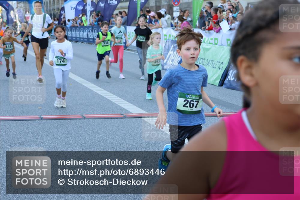 01.09.2024 - BARMER Alsterlauf Strokosch-Dieckow http://msf.ph/oto/6893446 01.09.2024 10:53:32 Ziel 174, 189, 192, 218, 222, 232, 267, 297, 306, 317, 338, 353, 365, 387, 8270, 8366 meine-sportfotos.de