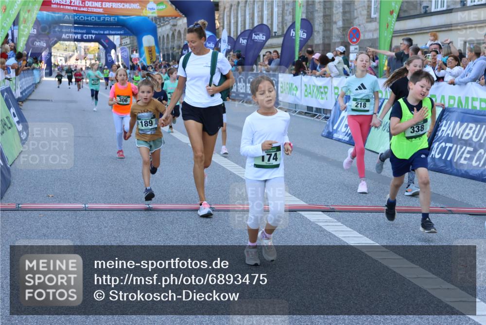 01.09.2024 - BARMER Alsterlauf Strokosch-Dieckow http://msf.ph/oto/6893475 01.09.2024 10:53:33 Ziel 174, 189, 192, 218, 222, 232, 250, 297, 306, 317, 338, 353, 365, 387, 8270, 8366 meine-sportfotos.de