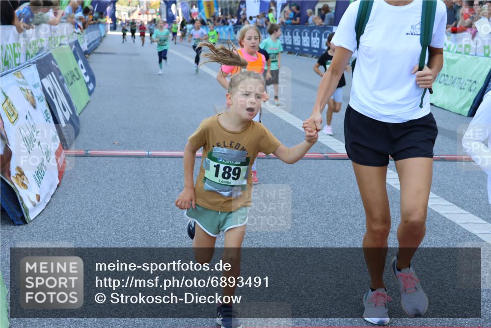 01.09.2024 - BARMER Alsterlauf Strokosch-Dieckow http://msf.ph/oto/6893491 01.09.2024 10:53:35 Ziel 189, 192, 218, 222, 232, 250, 297, 306, 317, 338, 353, 365, 387, 8366 meine-sportfotos.de