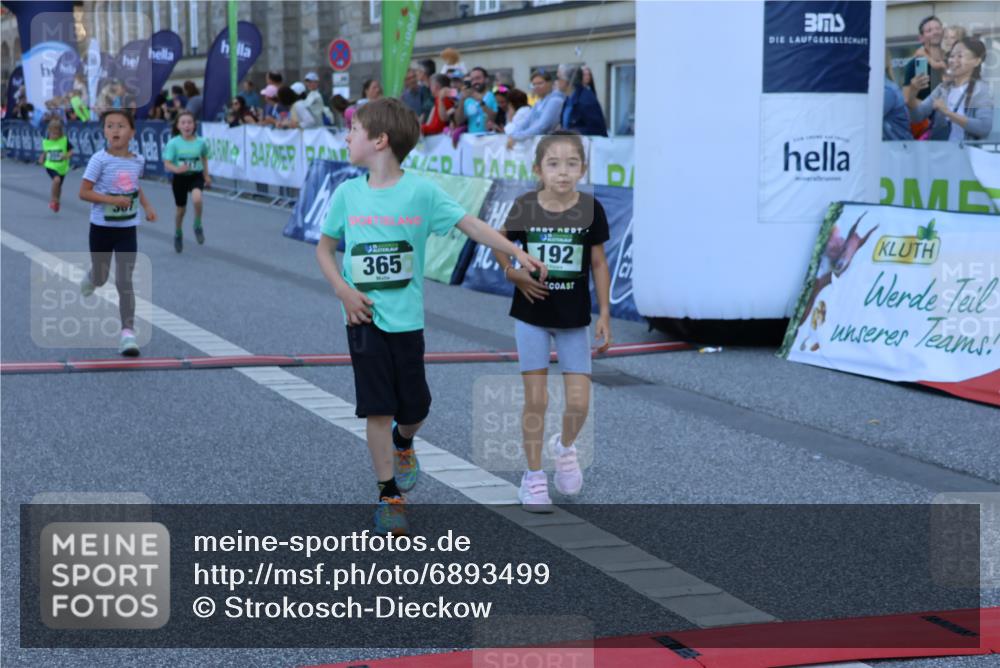 01.09.2024 - BARMER Alsterlauf Strokosch-Dieckow http://msf.ph/oto/6893499 01.09.2024 10:53:39 Ziel 222, 250, 282, 283, 288, 297, 317, 329, 365, 387 meine-sportfotos.de