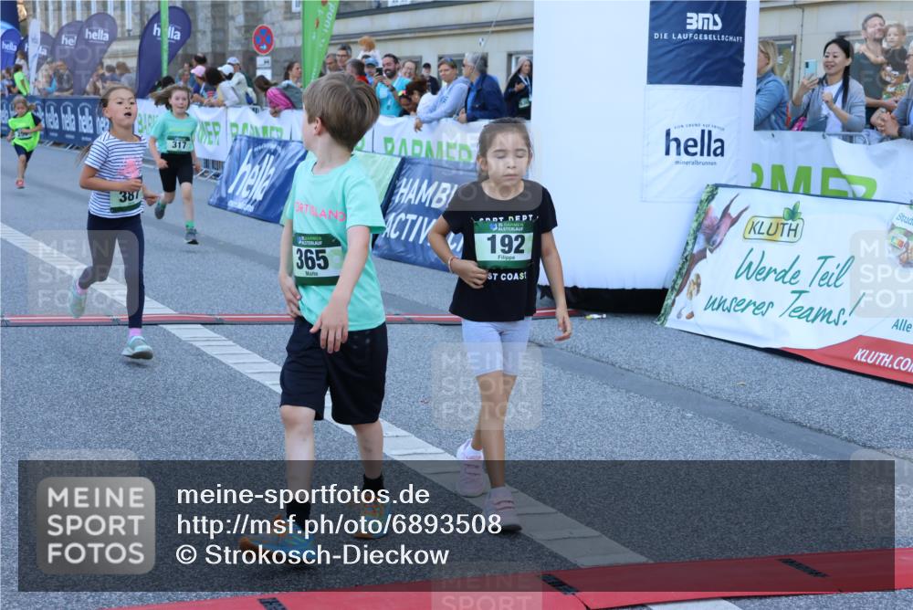 01.09.2024 - BARMER Alsterlauf Strokosch-Dieckow http://msf.ph/oto/6893508 01.09.2024 10:53:39 Ziel 222, 250, 282, 283, 288, 297, 317, 329, 365, 387 meine-sportfotos.de