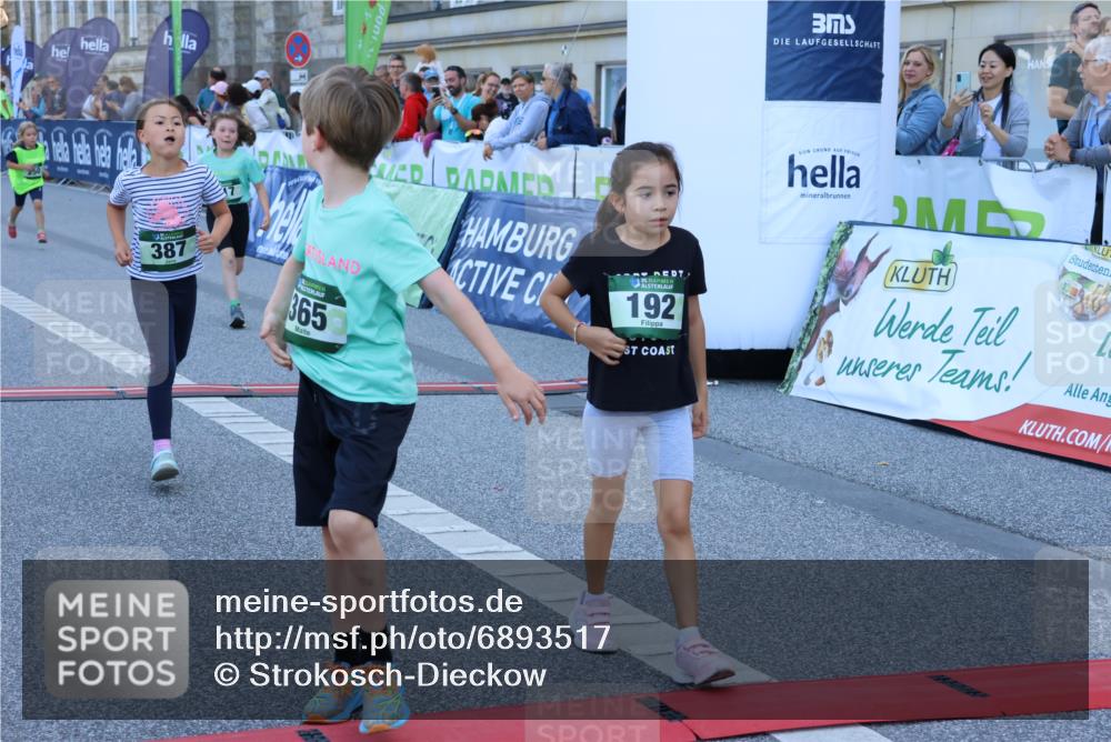 01.09.2024 - BARMER Alsterlauf Strokosch-Dieckow http://msf.ph/oto/6893517 01.09.2024 10:53:40 Ziel 222, 250, 282, 283, 288, 297, 317, 329, 385, 387 meine-sportfotos.de